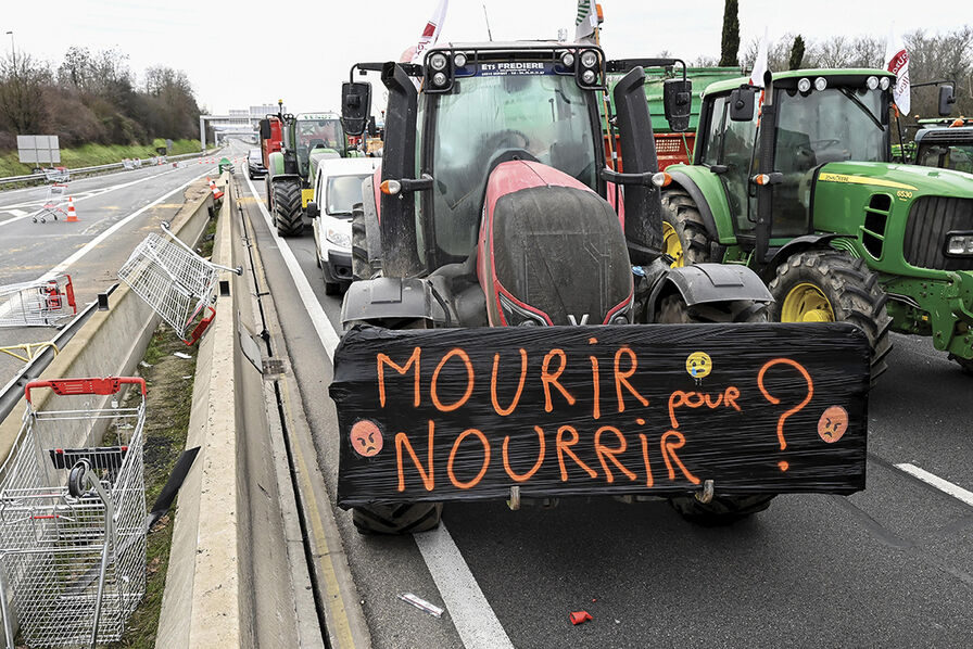 LSA Conso – Les réponses des industriels et des distributeurs à la crise agricole