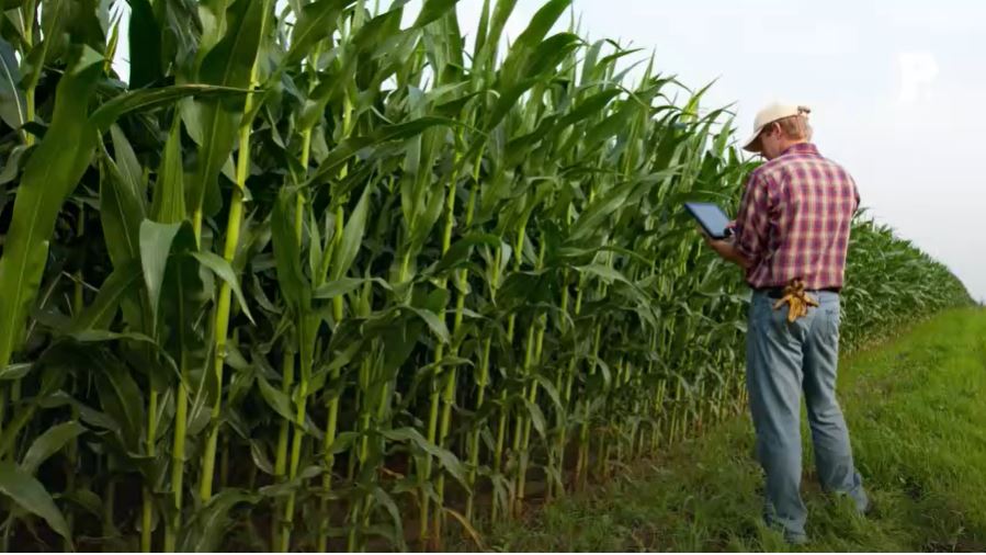 Crise agricole : à qui la faute ?