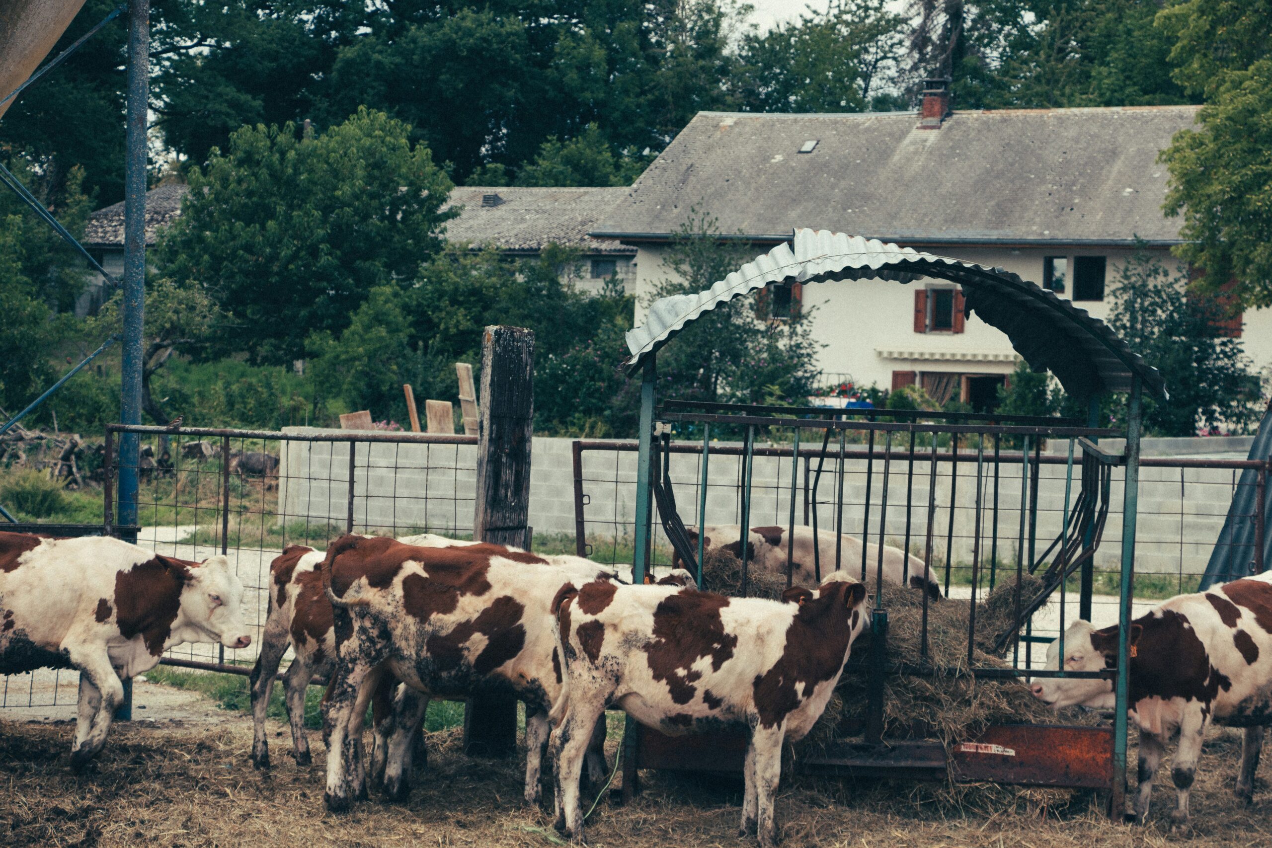 Complément à Complément d’Enquête : qui veut la peau des agriculteurs ?